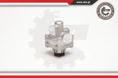 Насос гидроусилителя руля SKV 10SKV017
