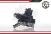 Насос гидроусилителя руля SKV 10SKV113