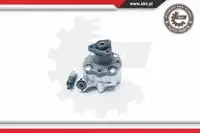 Насос гидроусилителя руля SKV 10SKV186