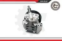 Насос гидроусилителя руля SKV 10SKV215