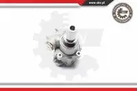 Насос гидроусилителя руля SKV 10SKV217