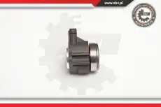 SKV 13SKV012