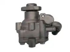 Насос гидроусилителя руля GKN 54118