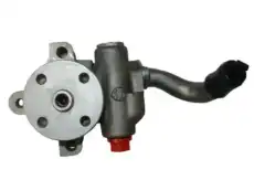 Насос гидроусилителя руля GKN 53875