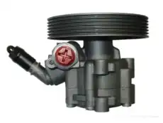 Насос гидроусилителя руля GKN 54420