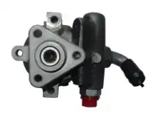 Насос гидроусилителя руля GKN 54379