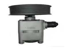 Насос гидроусилителя руля GKN 54313