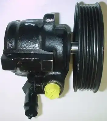 Насос гидроусилителя руля GKN 53846