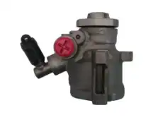 Насос гидроусилителя руля GKN 53896