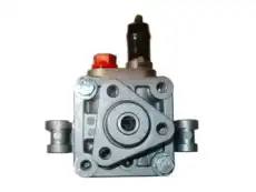 Насос гидроусилителя руля GKN 54216