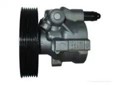Насос гидроусилителя руля GKN 54302
