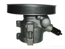 Насос гидроусилителя руля GKN 53661
