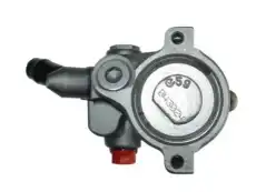 Насос гидроусилителя руля GKN 53831