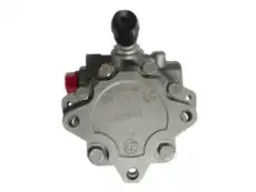 Насос гидроусилителя руля GKN 54117