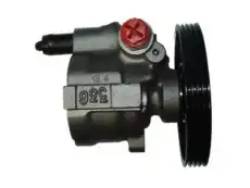 Насос гидроусилителя руля GKN 53922