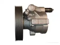 Насос гидроусилителя руля GKN 54264