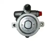 Насос гидроусилителя руля GKN 53555
