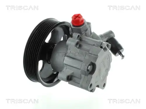 Насос гидроусилителя руля TRISCAN 851523671