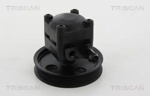 Насос гидроусилителя руля TRISCAN 851527618
