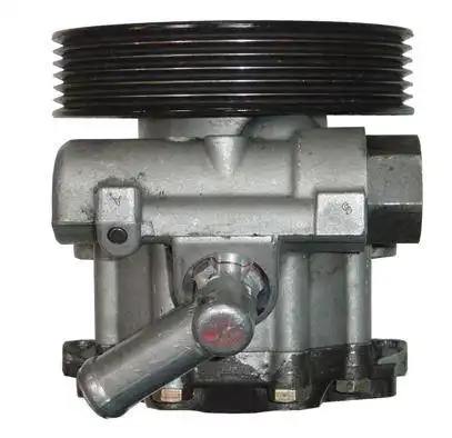 Насос гидроусилителя руля SERCORE 07B426ZA1