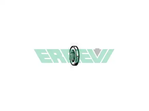 Гайка ступицы ERREVI 729654