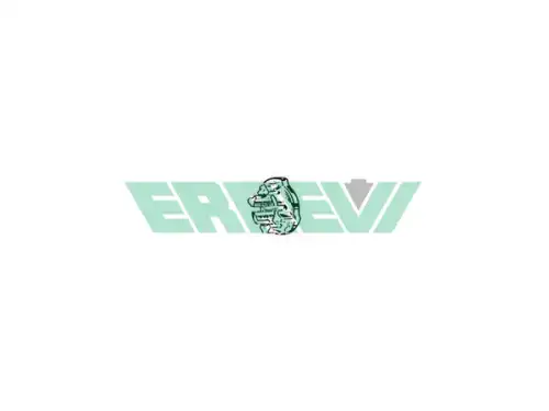 Гайка ступицы ERREVI 729645