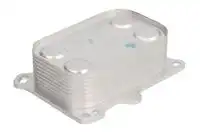 Масляный радиатор THERMOTEC D4F007TT