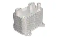 Масляный радиатор THERMOTEC D4M012TT