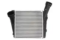 Интеркулер THERMOTEC DAN001TT