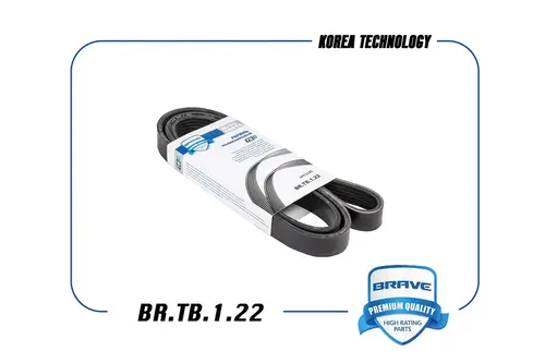 BRAVE BR.TB.1.22
