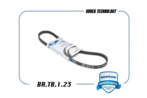 BRAVE BR.TB.1.23
