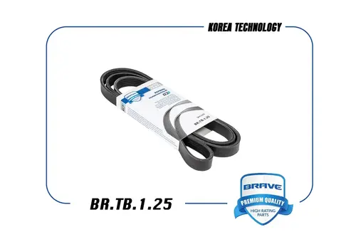 BRAVE BR.TB.1.25