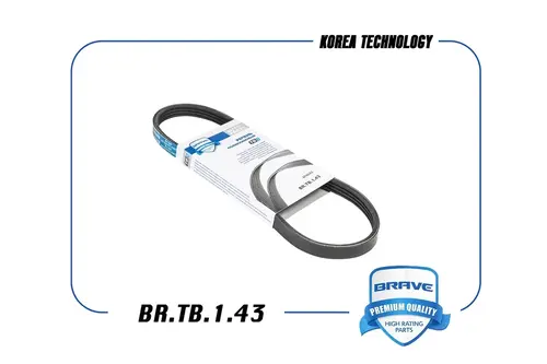 BRAVE BR.TB.1.43
