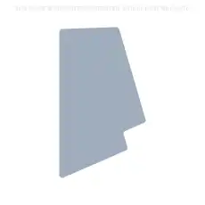 87721445 - Боковое стекло CNH