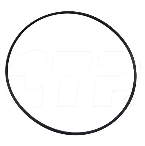 5P2931 Кольцо/уплотнение CTP