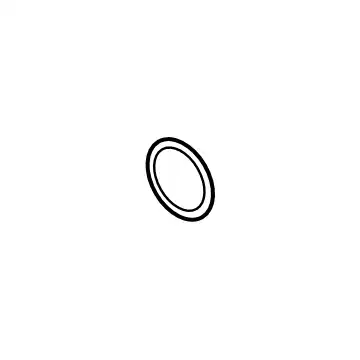 Gasket ring 13717953217 BMW