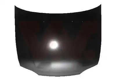Капот двигателя 2525660 VAN WEZEL