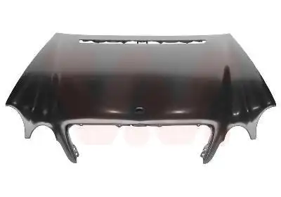 Капот двигателя 3029660 VAN WEZEL