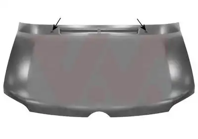 Капот двигателя 3076660 VAN WEZEL