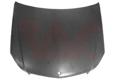 Капот двигателя 3097670 VAN WEZEL