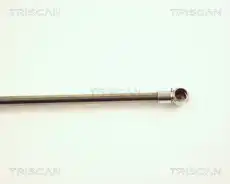 Амортизатор капота TRISCAN 8710 29104