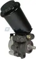 Насос гидроусилителя руля MOTORHERZ P1541HG