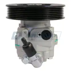 Насос гидроусилителя руля MOTORHERZ P1581HG