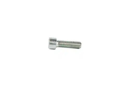SCREW 14422221 CASE IH