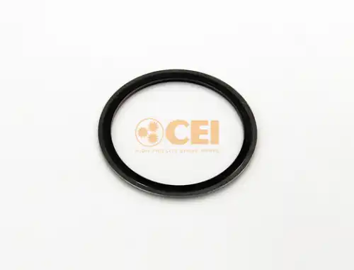 Сальник 269364 CEI