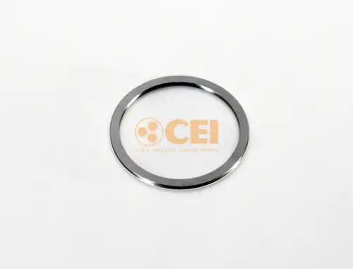 CEI 269977 Шайба упорная