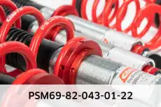 Pro-Street-Multi PSM69-82-043-01-22 EIBACH