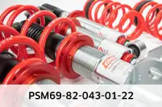 Pro-Street-Multi PSM69-82-043-01-22 EIBACH