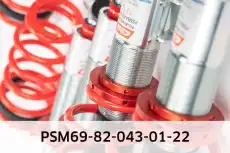 Pro-Street-Multi PSM69-82-043-01-22 EIBACH