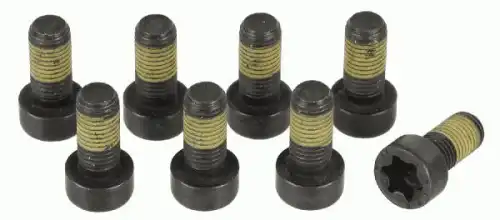 Комплект болтов 1874000044 SACHS